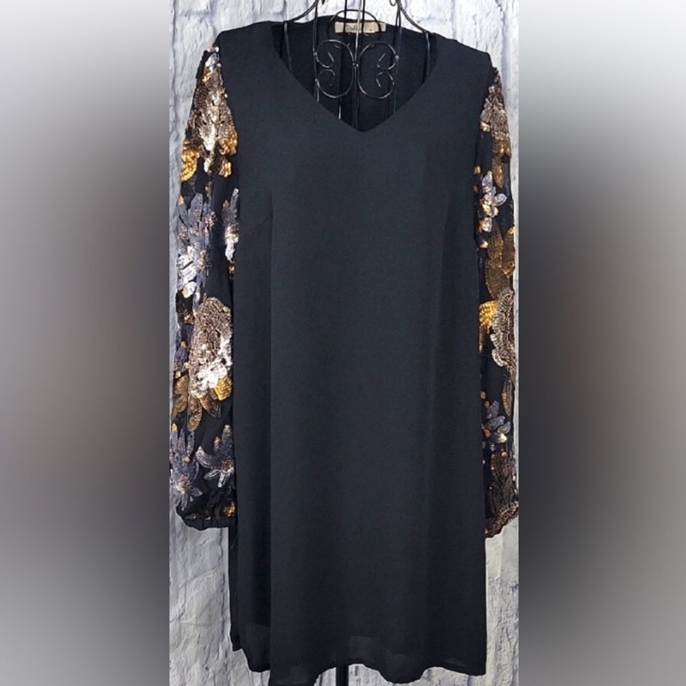 Darling Black Dress with Gold and Silver Sequin Sleeves